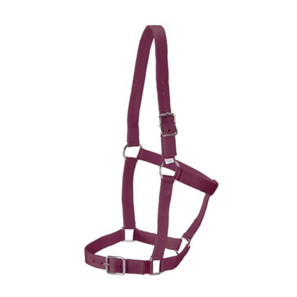 Rancher Webbing Halter-Wine
