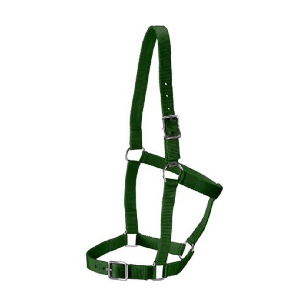 Rancher Webbing Halter-Green