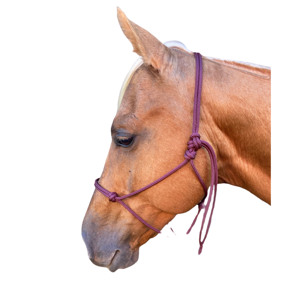 Bally Tack Rope Halter 6mm-Wine-Full