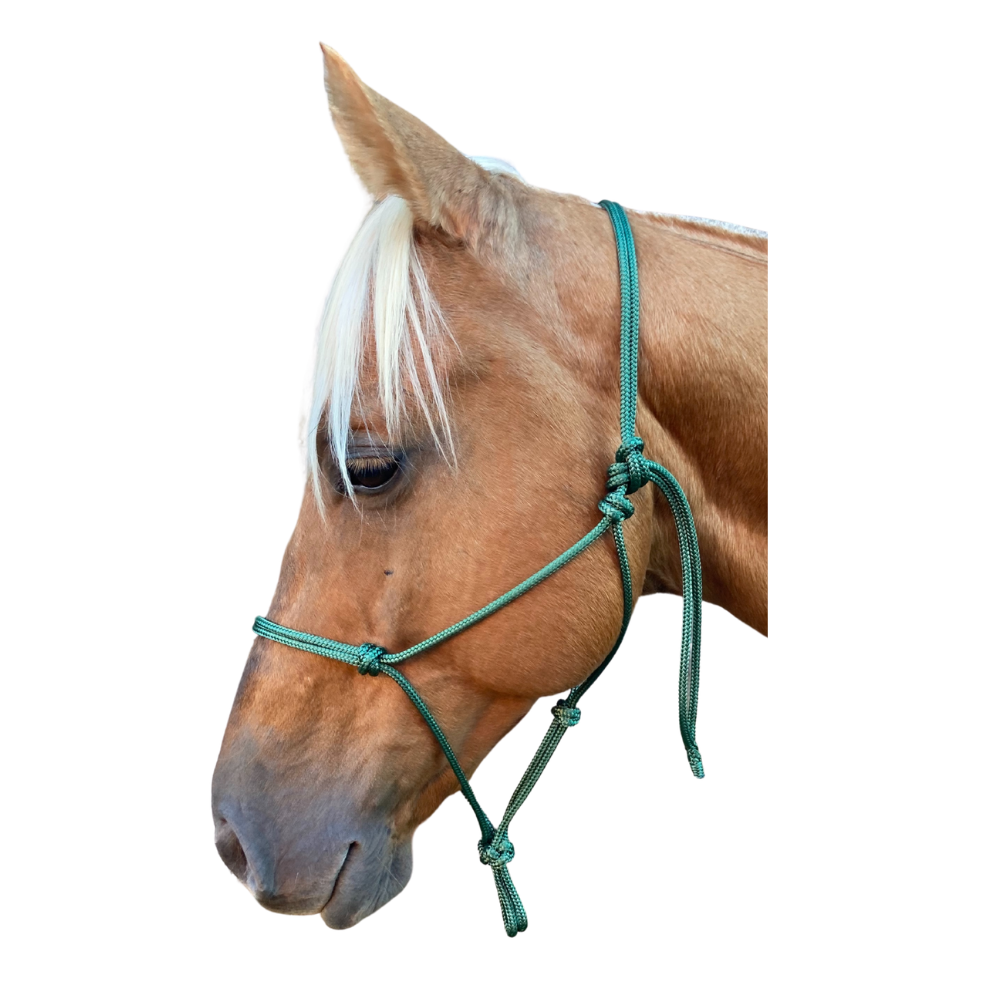 Bally Tack Rope Halter 6mm-Green-XL