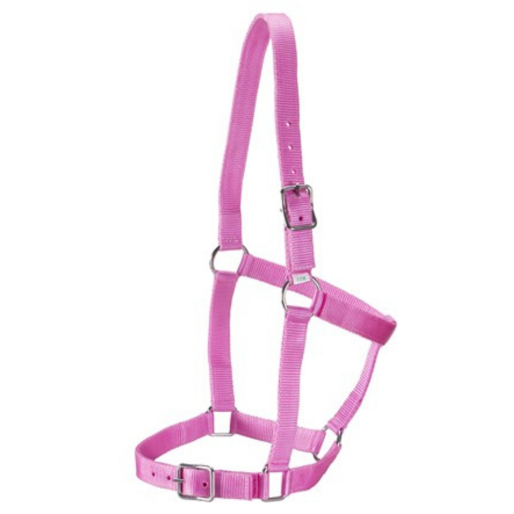 Rancher Webbing Halter-Pink
