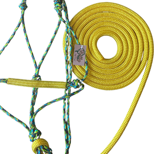 Bally Tack Combo-Sunflower/Yellow