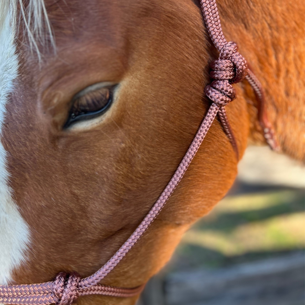 Bally Tack Rope Halter 8mm thick- Brown