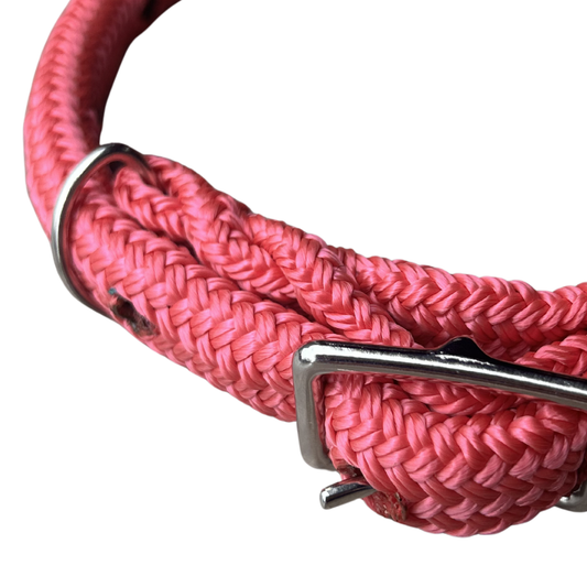 Bally Tack Rope Dog Collar-Pink