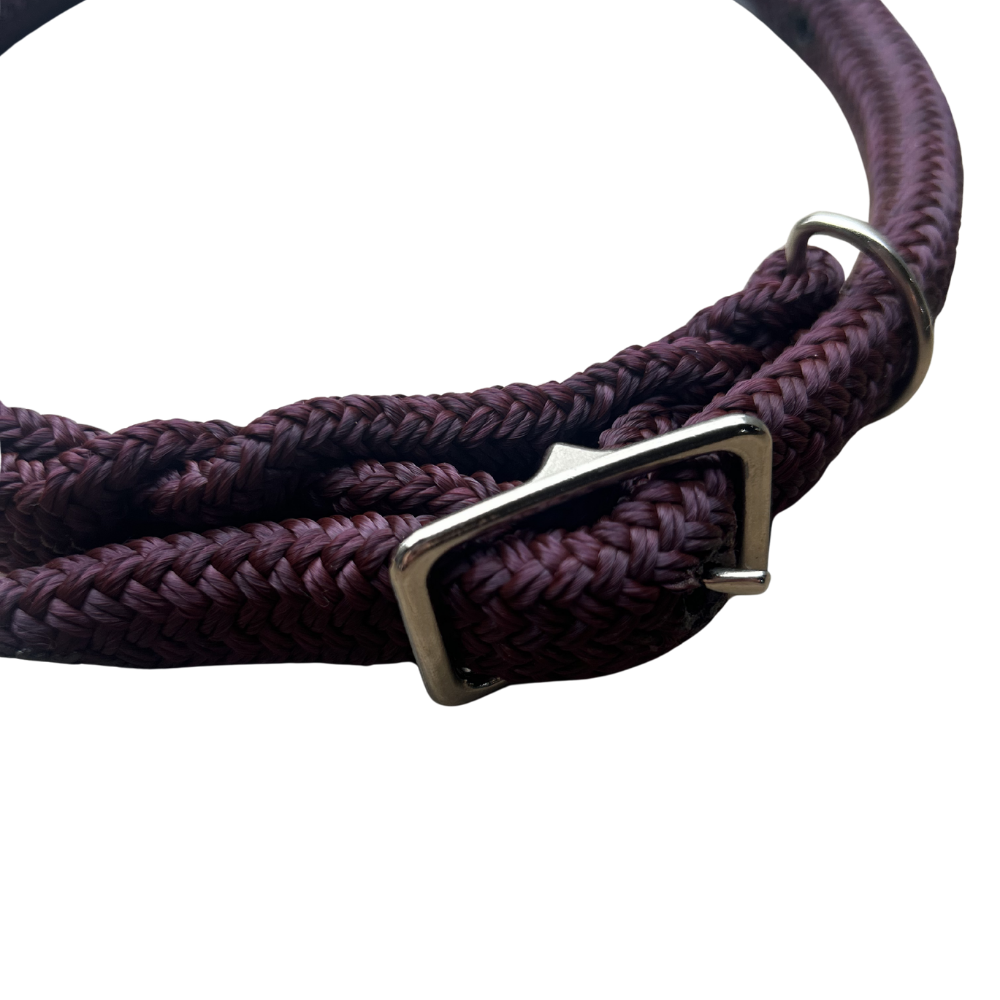 Bally Tack Rope Dog Collar-Wine