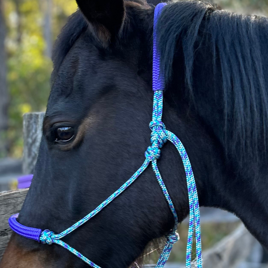 Bally Tack Rope Halter/Lead Combo #1