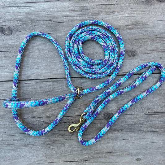 Bally Tack Rope Cattle 2 piece set-Prairie Jewel