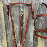 Bally Tack Leather Show Set - Quinn