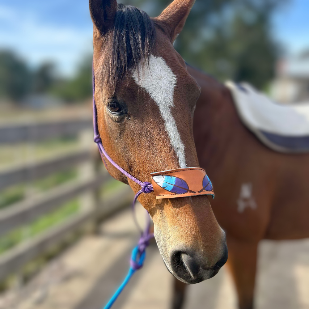 Bally Tack Gift Box-Feather