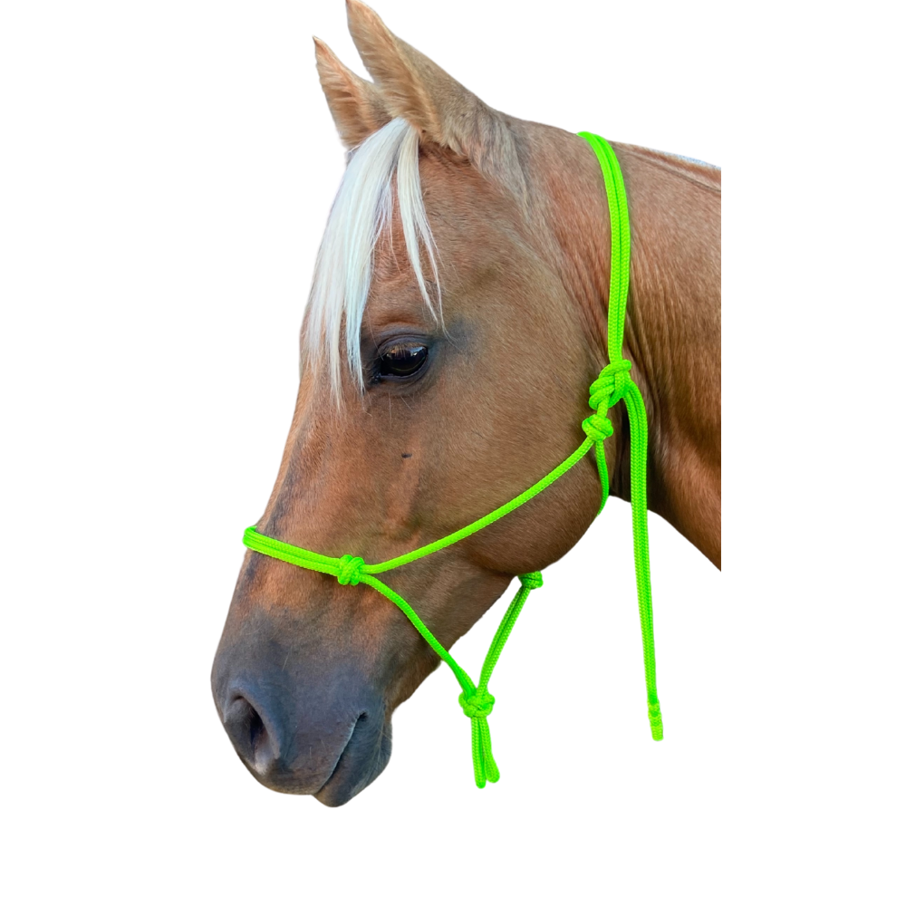 Bally Tack Rope Halter-Lime-Mini