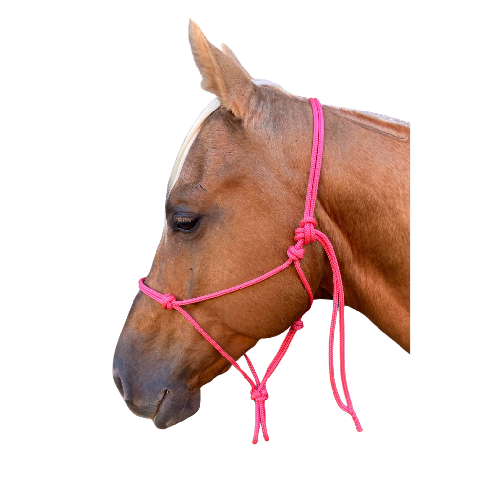Bally Tack Rope Halter 6mm- Pink-Mini