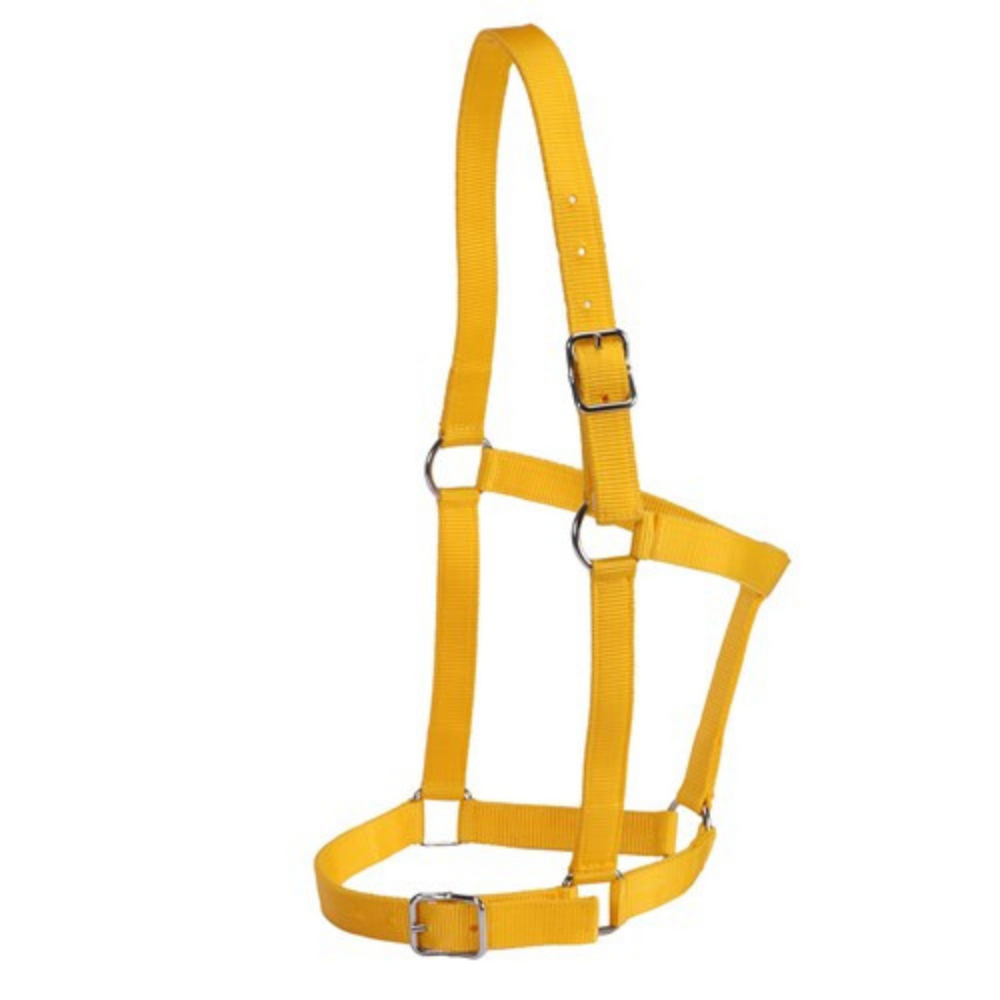 Rancher Webbing Halter-Yellow