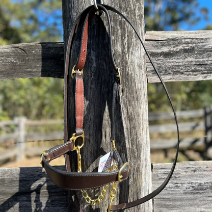 Bally Tack Leather Cattle Show Halter/Lead Hackamore Set