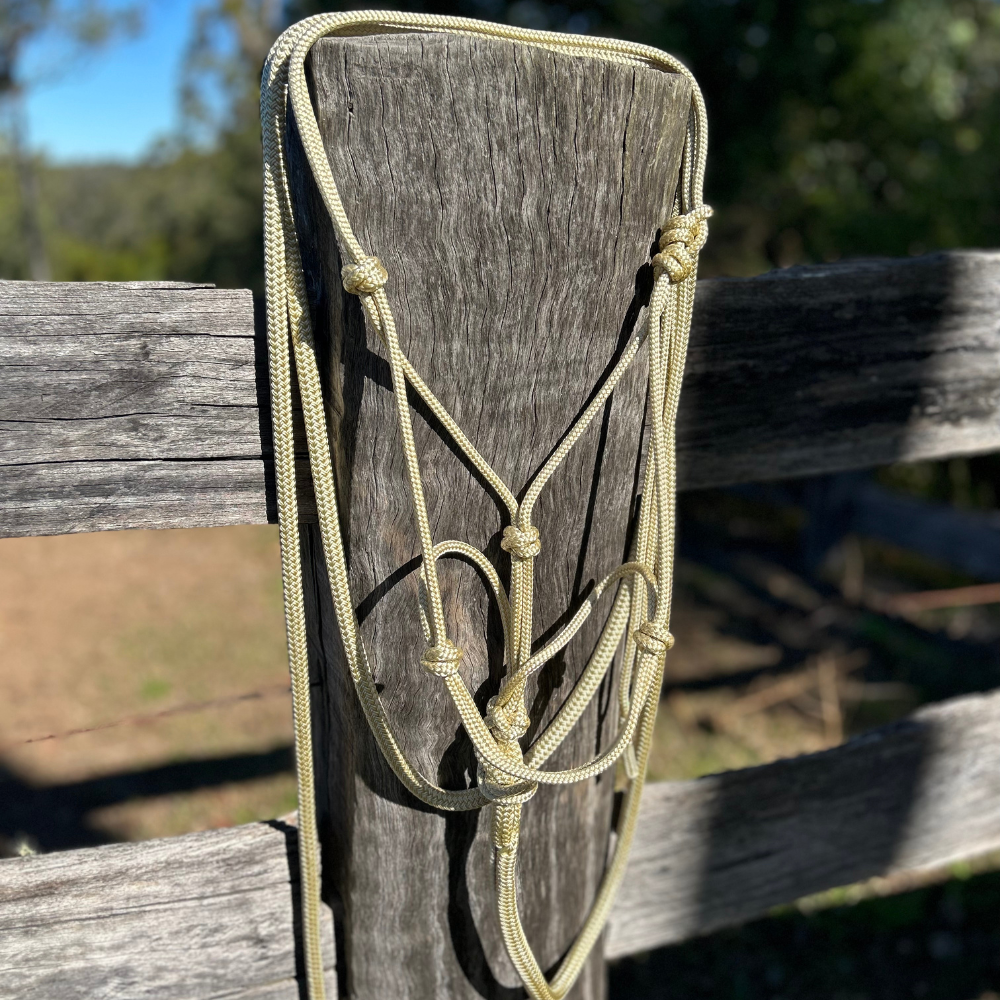Cream_6mm_horse_halter_and_lead