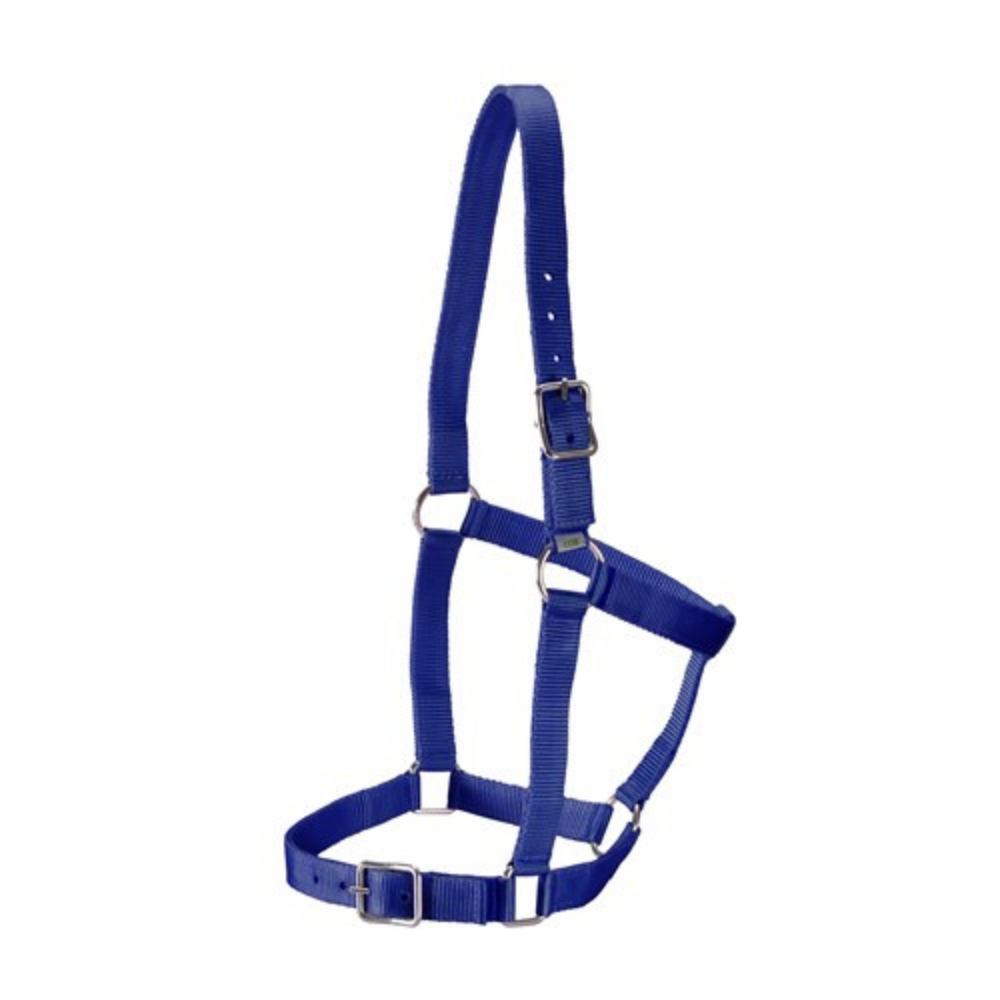 Rancher Webbing Halter-Blue