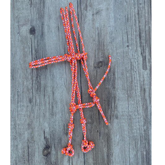 New ! Bally Tack Rope Bridle- Vintage Cowgirl