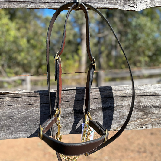 Bally Tack Leather Cattle Show Halter/Lead Hackamore Set