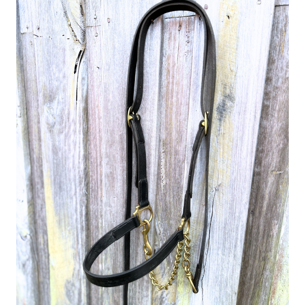 Bally Tack Leather Cattle Show Halter/Lead Hackamore Set-Black