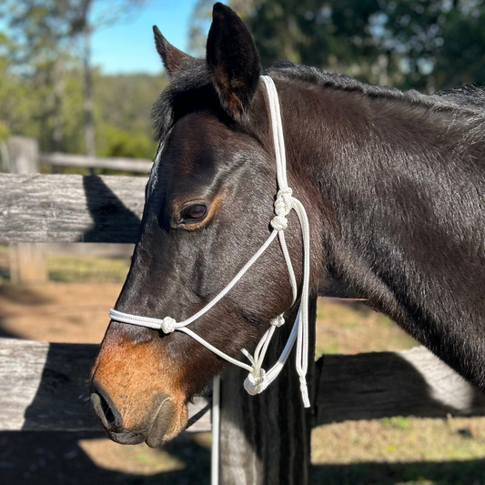 Bally Tack Rope Halter/Lead Combo- White