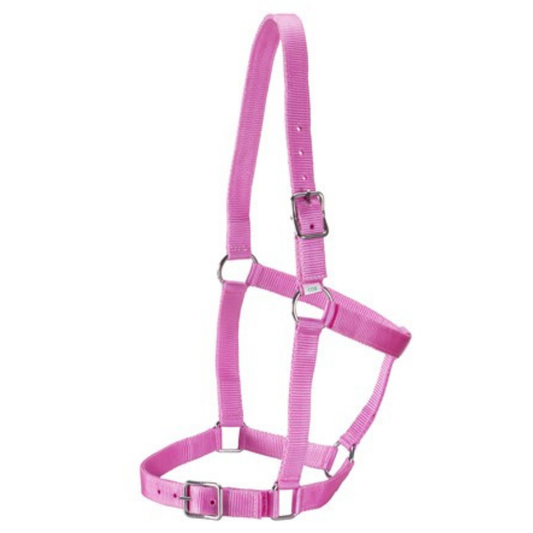 Rancher Webbing Halter-Pink