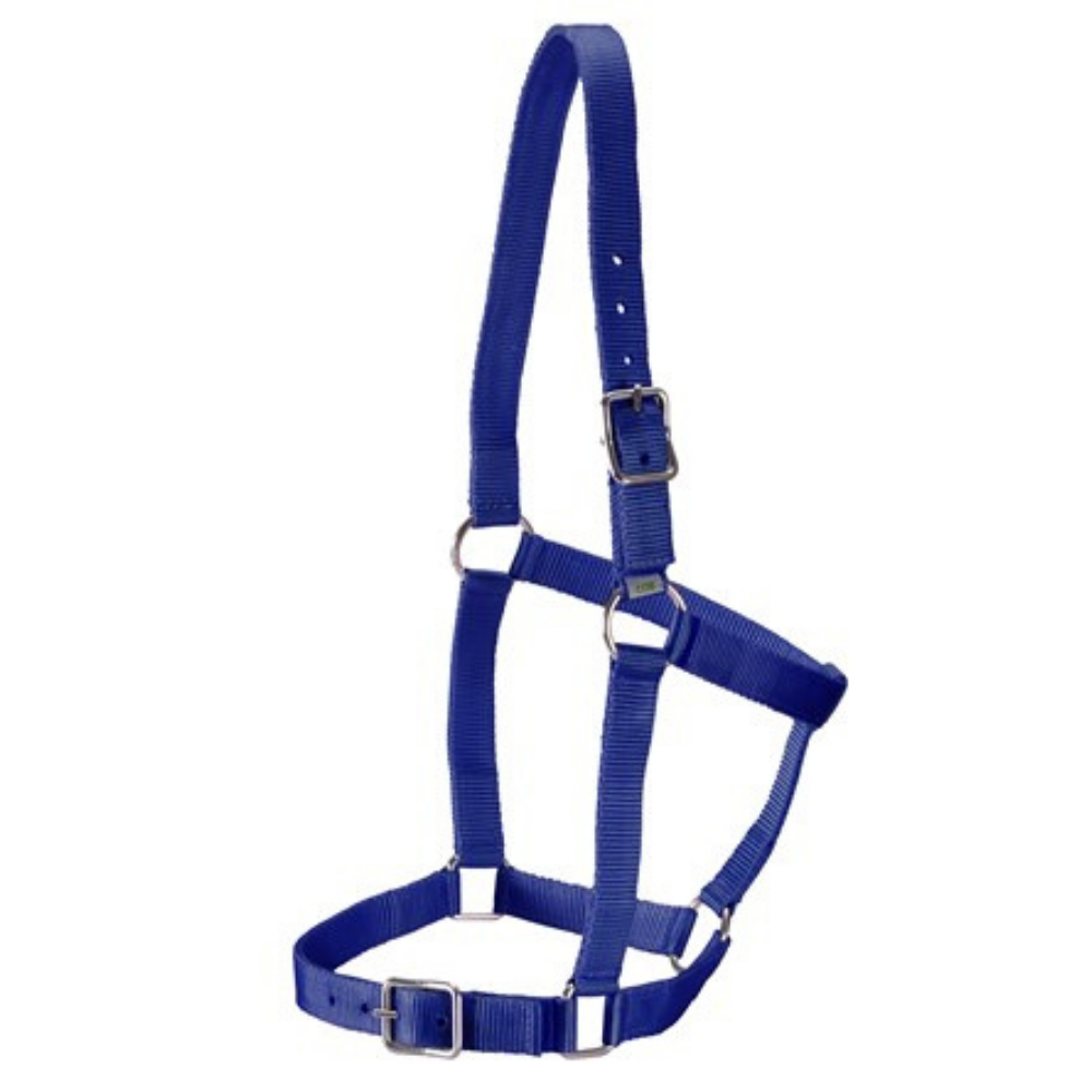 Rancher Webbing Halter-Navy