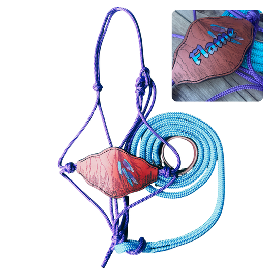 Bally Tack Rope Halter/Lead Combo-Bronc-Prairie Jewel