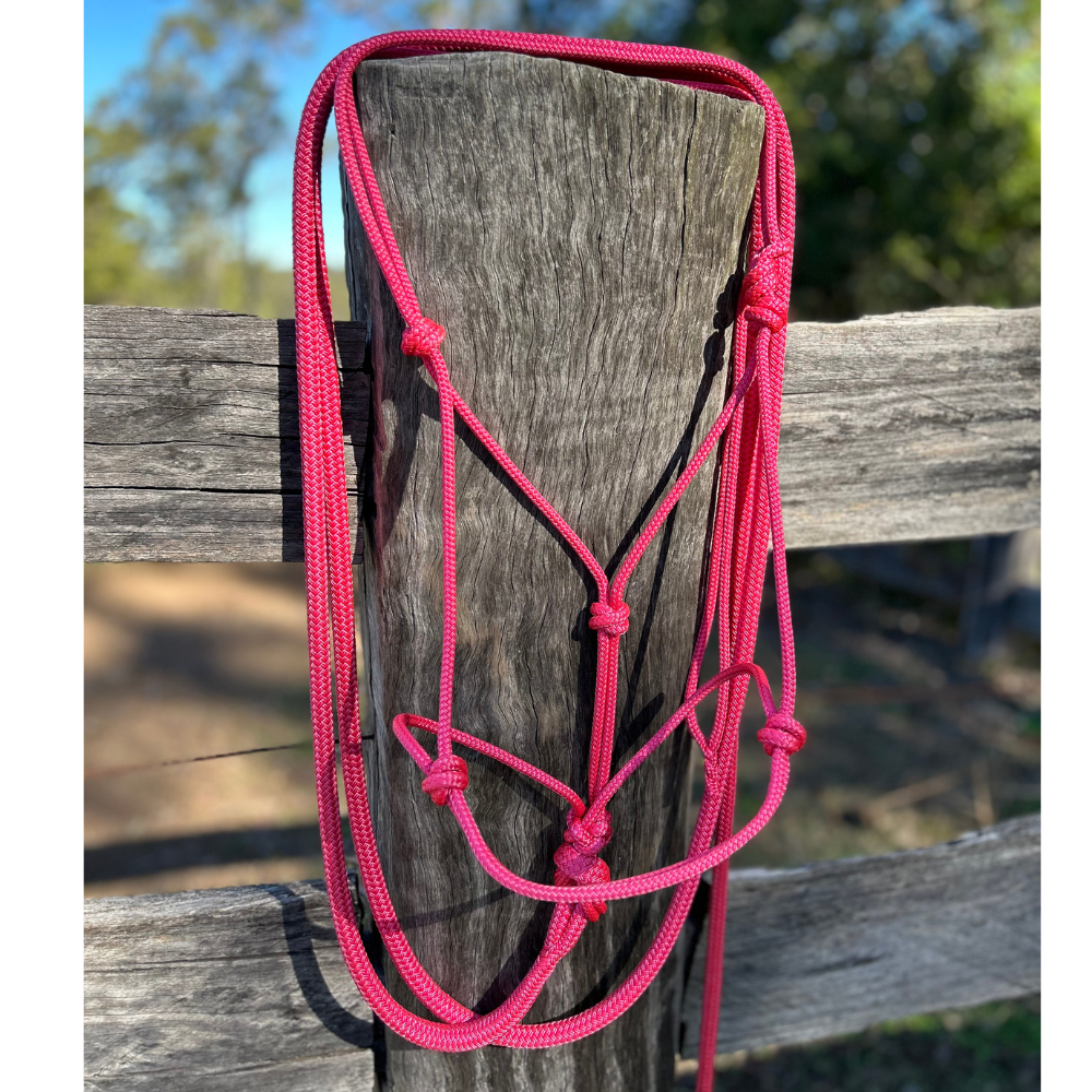 Bally Tack Rope Halter/Lead Combo- Pink