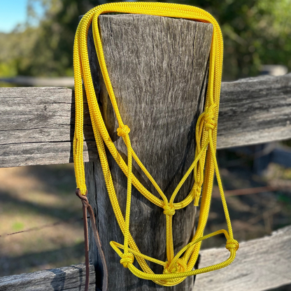 Bally Tack Rope Halter/Lead Combo- Yellow