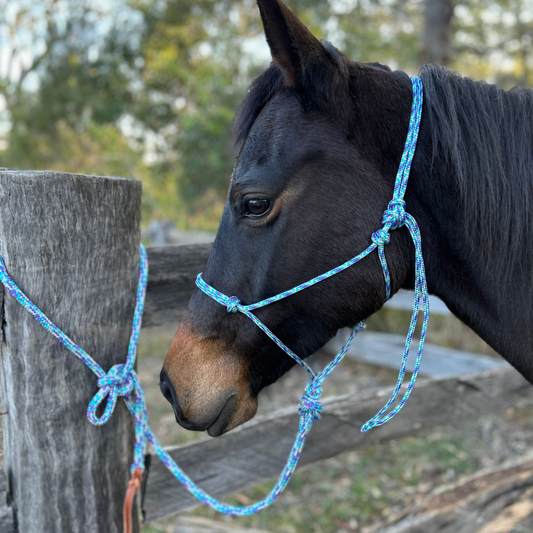 Bally Tack Rope Halter/Lead Combo #3
