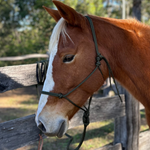 Rope_horse_halter_and_lead_set_olive