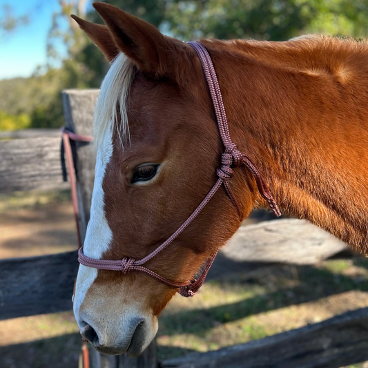 Bally Tack Rope Halter 8mm thick- Brown