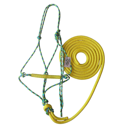 Bally Tack Combo-Sunflower/Yellow