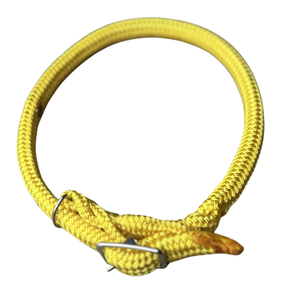 Bally Tack Rope Dog Collar-Yellow