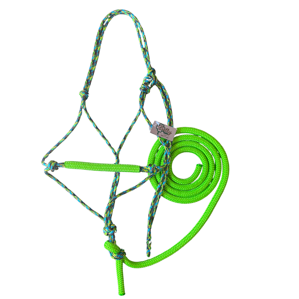 Bally Tack Combo-Sunflower/Lime