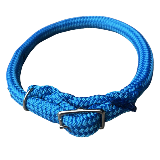 Bally Tack Rope Dog Collar-Sky Blue