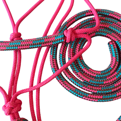 Bally Tack Combo-Cowgirl Candy