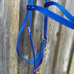 Bally Tack Web Western Bridle-Blue