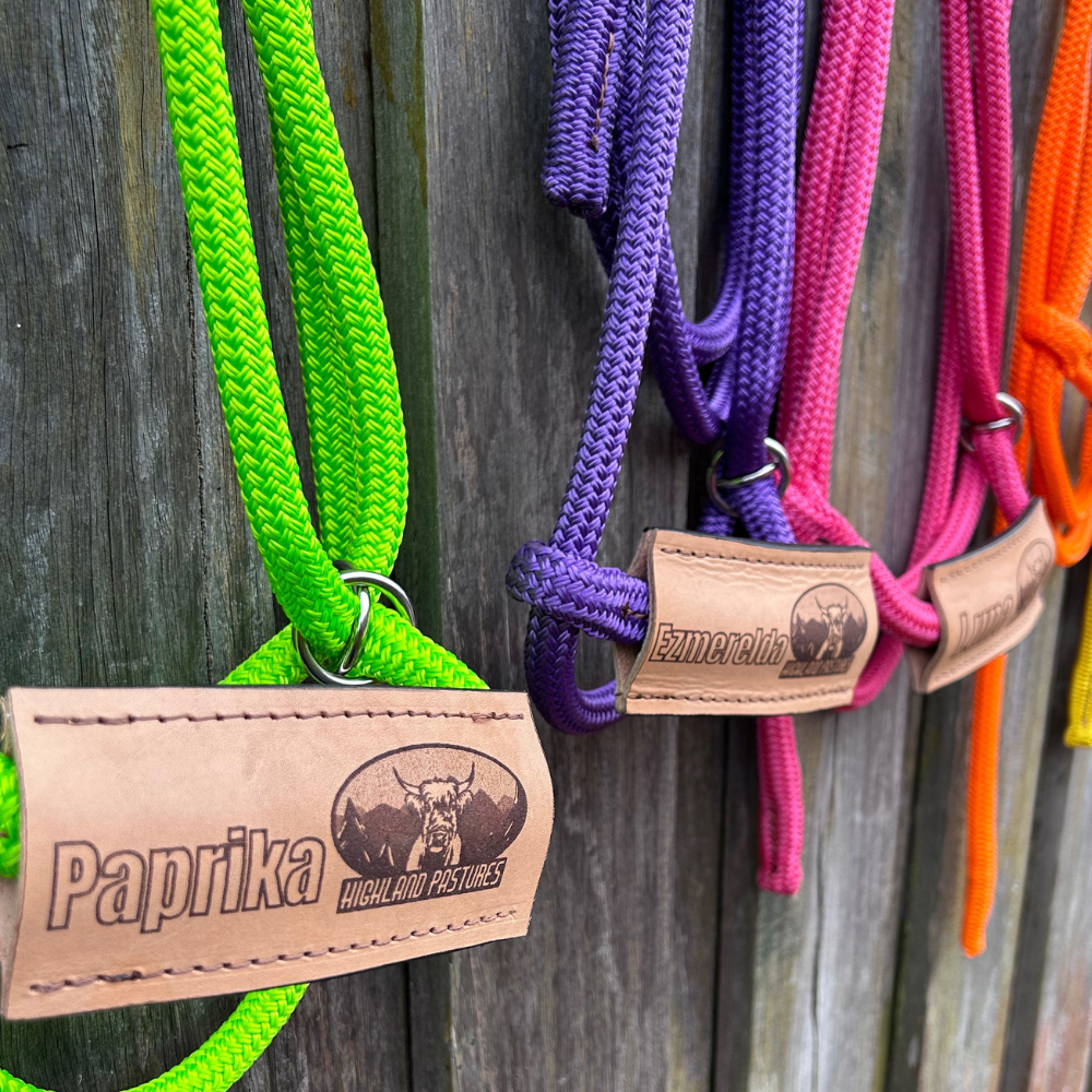 Bally Tack Rope Adjustable Cattle Halter- Laser Name