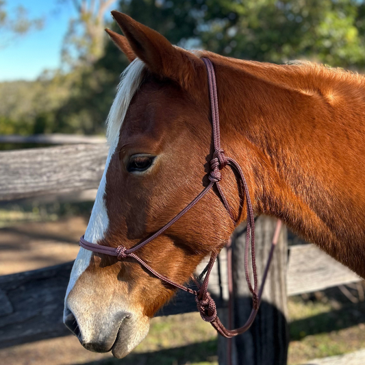 Brown_6mm_rope_halter