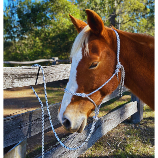 Bally Tack Rope Halter & Lead Combo-Work