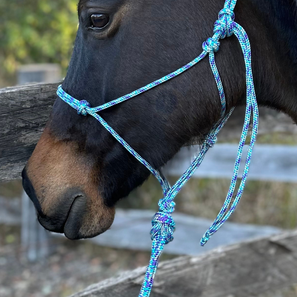 Bally Tack Rope Halter/Lead Combo #3