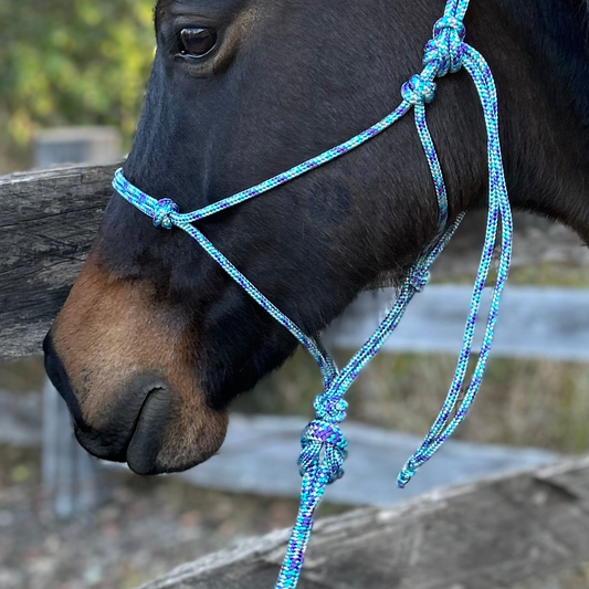 Bally Tack Rope Halter/Lead Combo #3