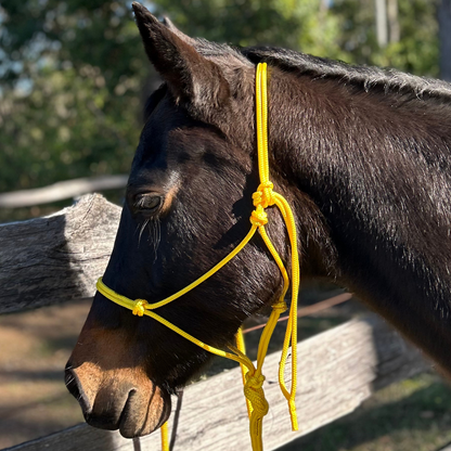 Bally Tack Rope Halter/Lead Combo- Yellow