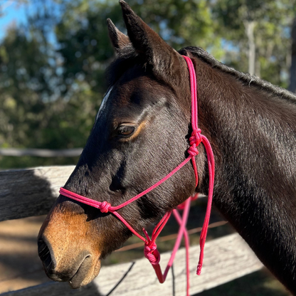 Bally Tack Rope Halter/Lead Combo- Pink