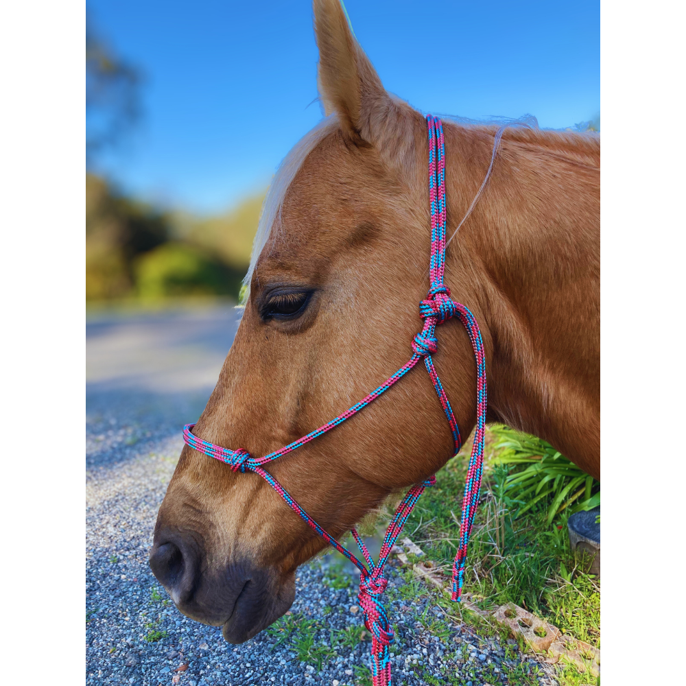 Bally Tack Rope Halter 6mm - Cowgirl Candy-PREORDER