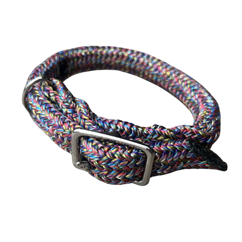 Bally Tack Rope Dog Collar-Rainbow