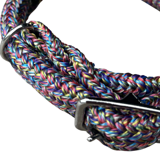 Bally Tack Rope Dog Collar-Rainbow