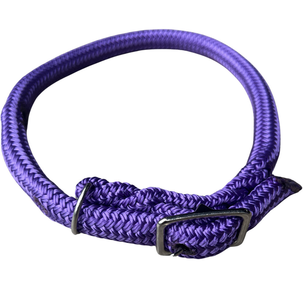 Bally Tack Rope Dog Collar-Purple
