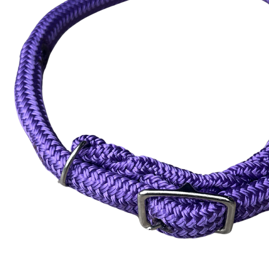 Bally Tack Rope Dog Collar-Purple