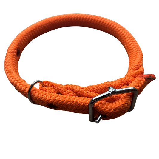 Bally Tack Rope Dog Collar-Orange